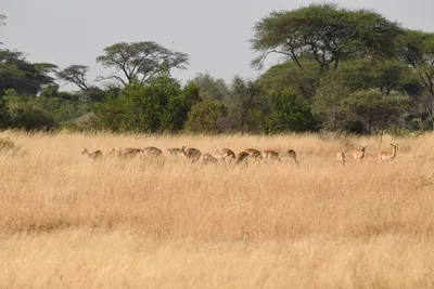 DSC_3382 (Large).JPG